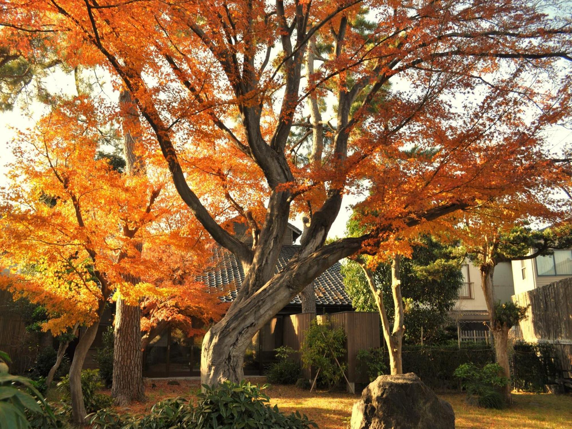 Machi No Odoriba Hotel Kanazawa Exterior foto