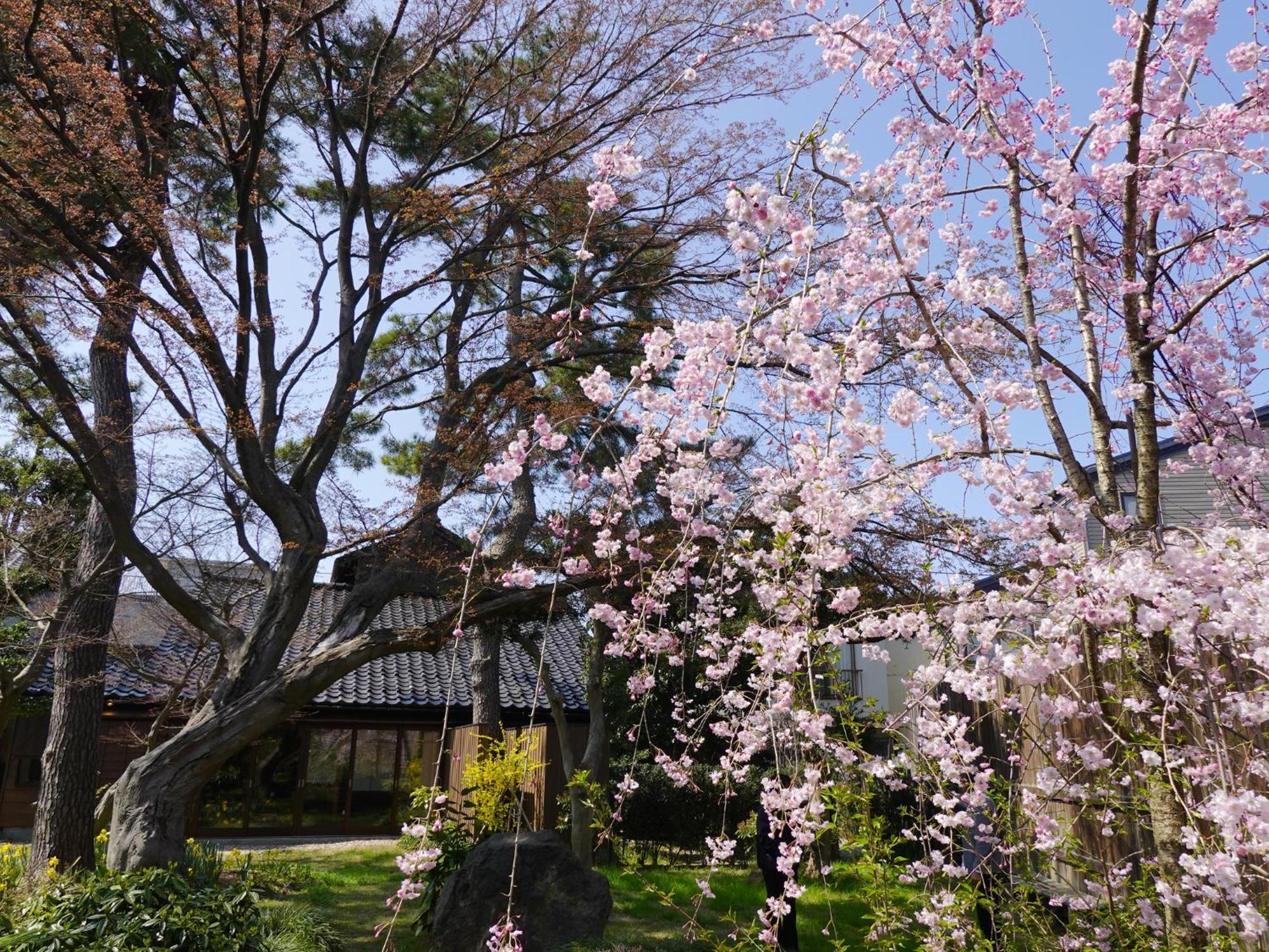Machi No Odoriba Hotel Kanazawa Exterior foto